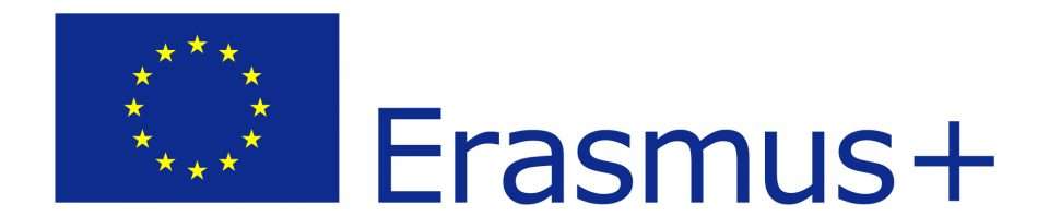 EU flag-Erasmus+_vect_POS
